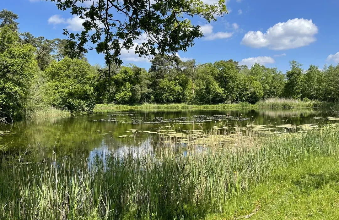 nature weert
